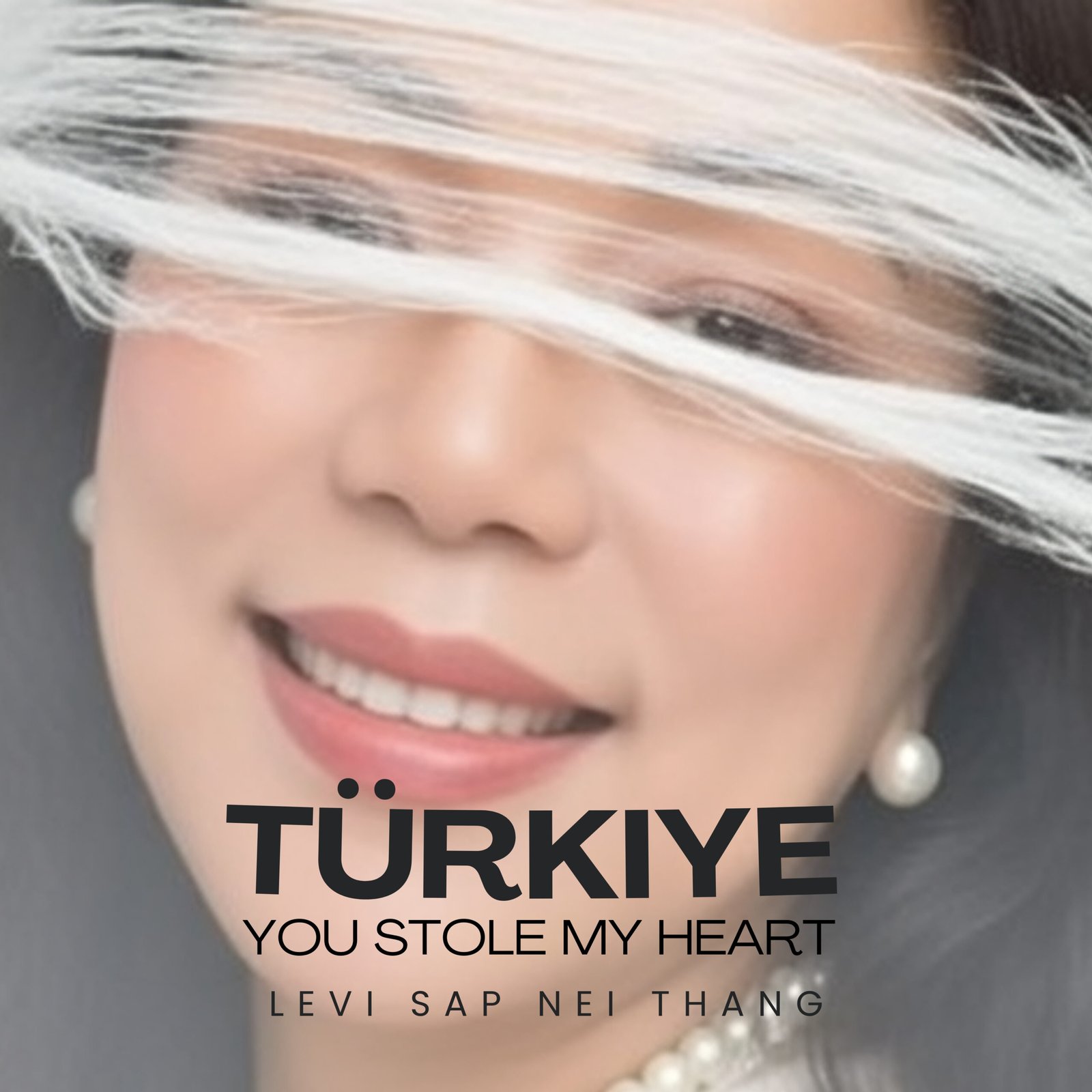 Türkiye You Stole My Heart Song Lyrics